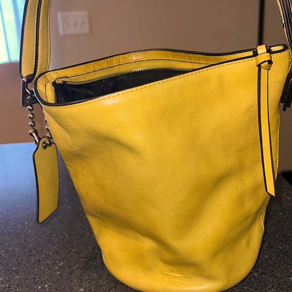 Coach (Small) Handbag